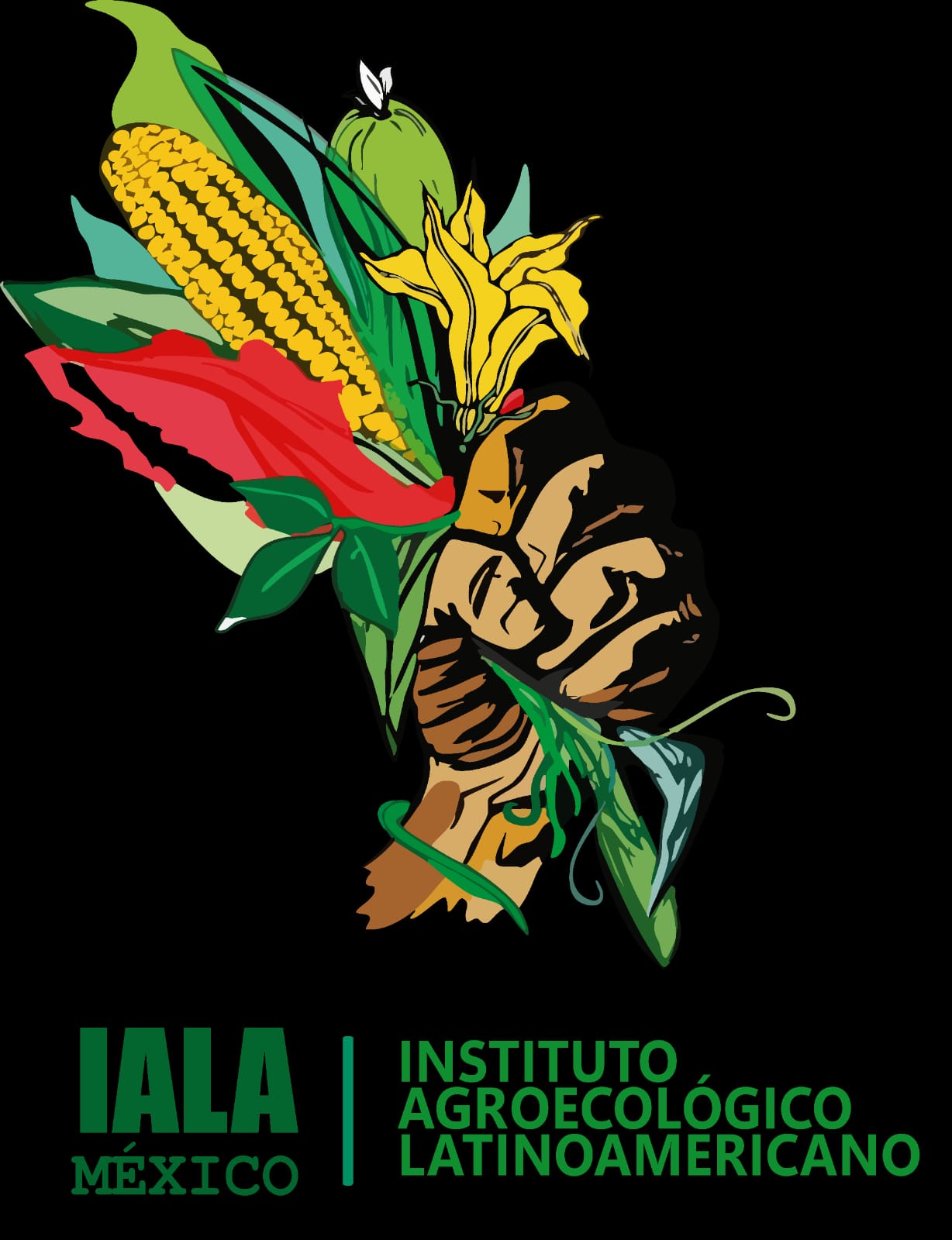 IALA – MX